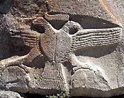 image00612.jpg